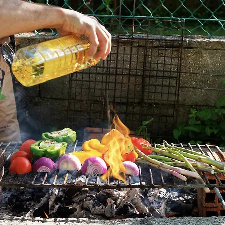 Meiga Backpackers Hostel *