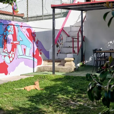 אכסניה Meiga Backpackers